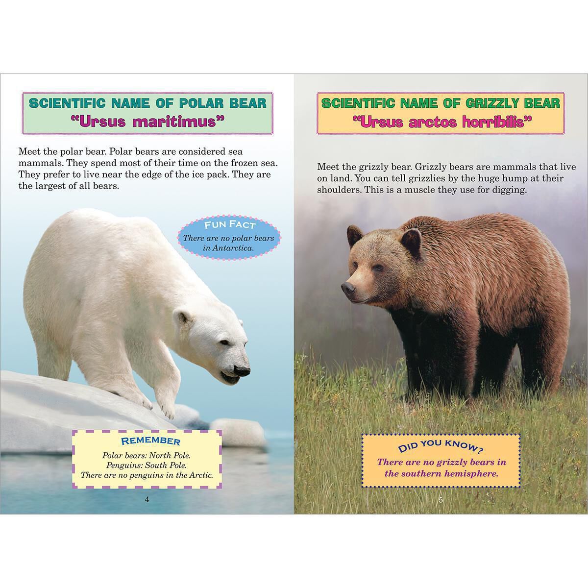 Who Would Win? Polar Bear vs. Grizzly Bear image number 2