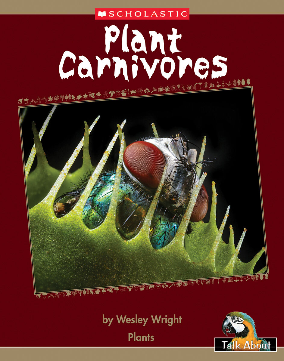 Talk About The Natural World: Plants: Plant Carnivores 4 Pack image number 1