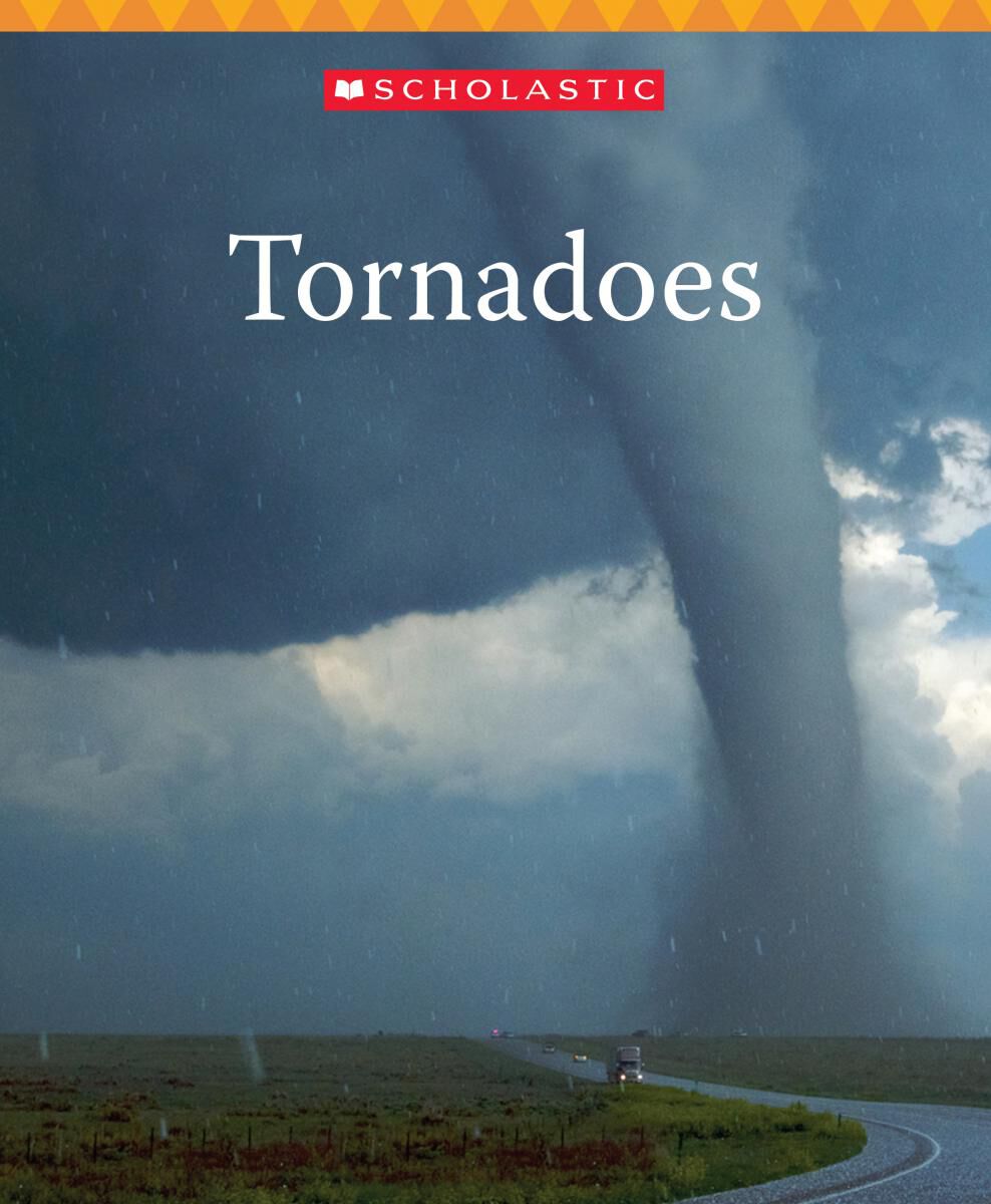 Everyday Book Box 3: Orange Book Box image number 6