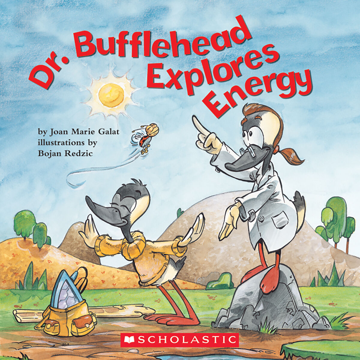Literacy Place for the Early Years Grade 2: Level L: Dr. Bufflehead Explores Energy 6 Pack image number 0