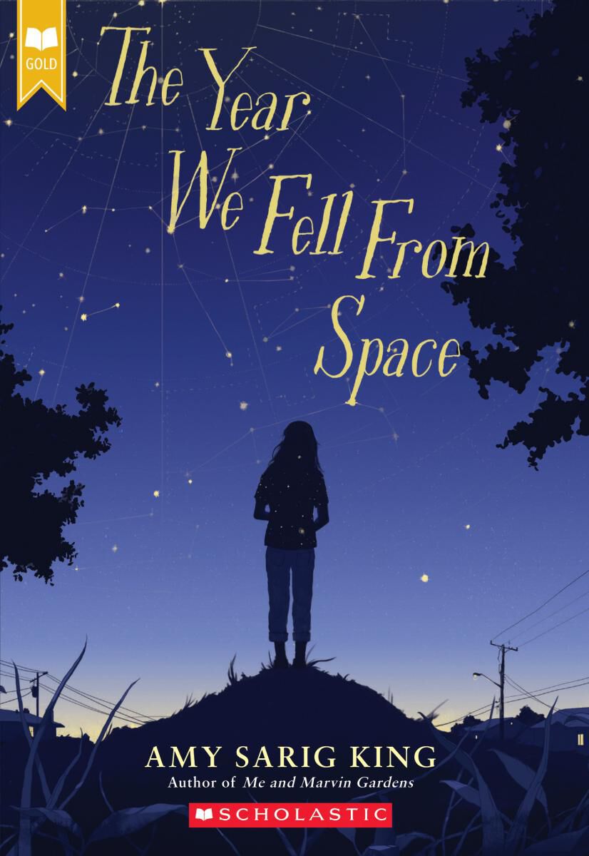 The Year We Fell From Space