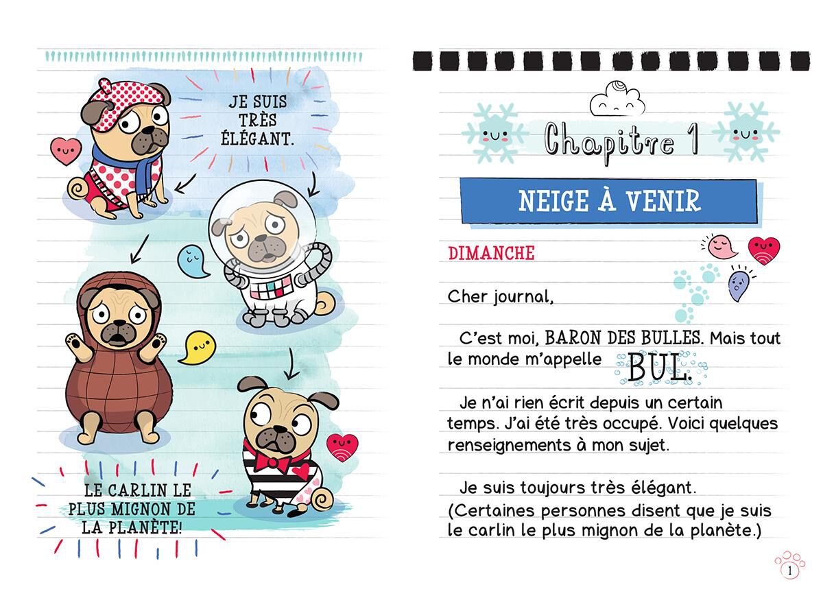 Journal d&rsquo;un carlin : N&deg; 2 - Les jours de neige image number 1