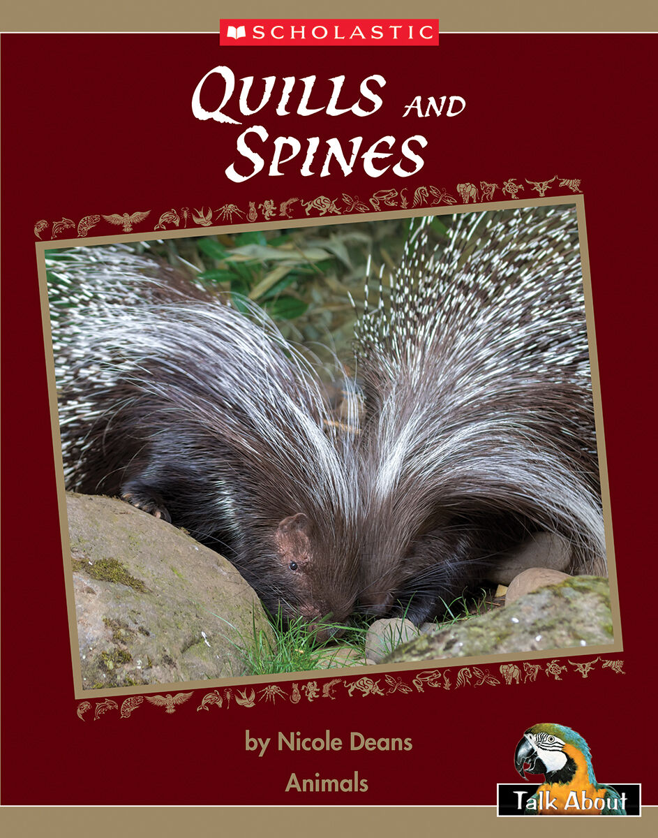Talk About The Natural World: Animals: Quills and Spines 4 Pack image number 1