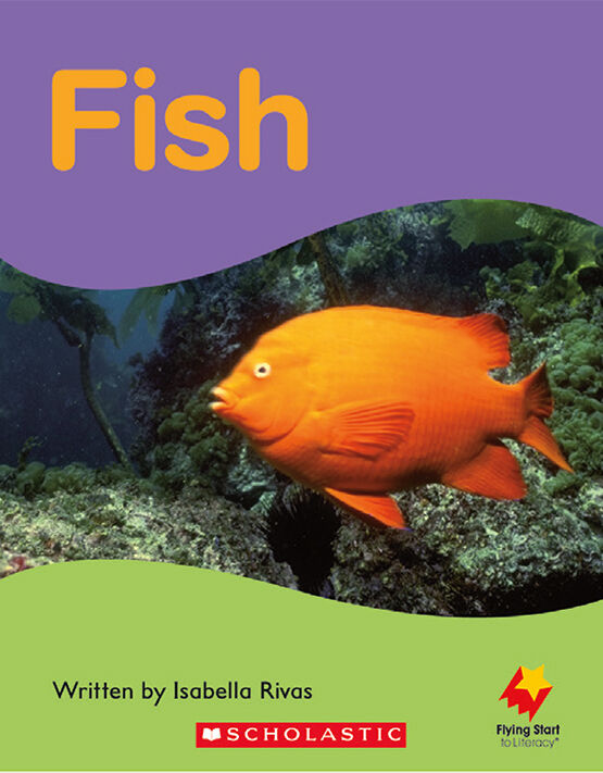 Flying Start: Level B: Come and Look!/Fish 12 Pack image number 1