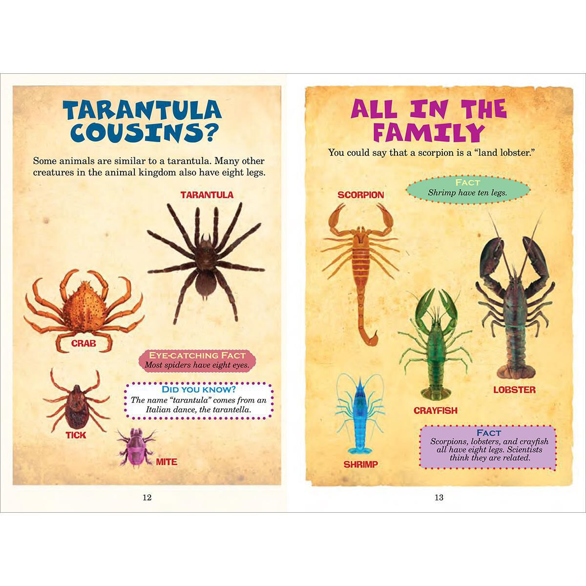 Who Would Win? Tarantula vs. Scorpion image number 2