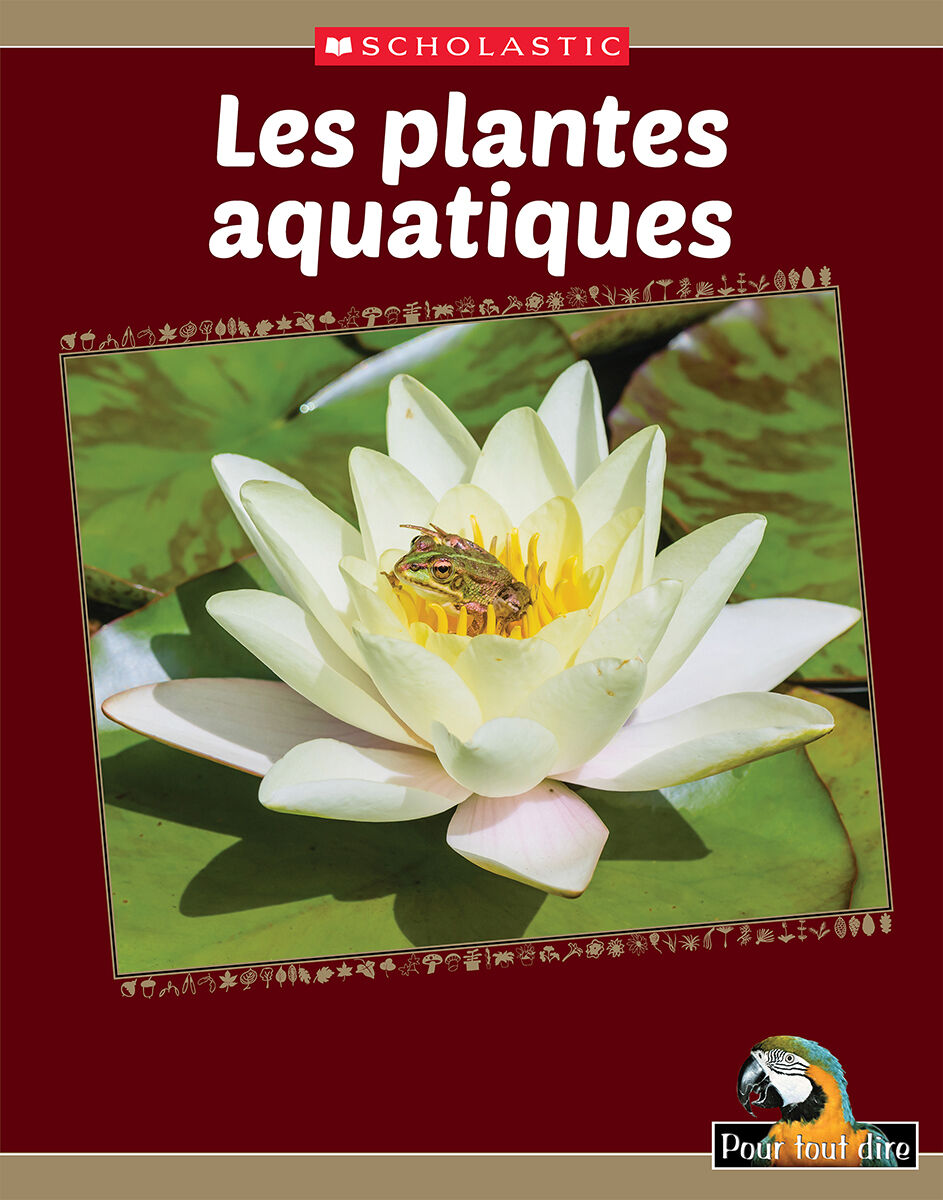 Pour tout dire: Le monde naturel: Les plantes: Les plantes aquatiques Emballage de 4 image number 1