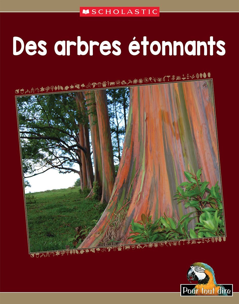 Pour tout dire: Le monde naturel: Les plantes: Des arbres &eacute;tonnants Emballage de 4 image number 1