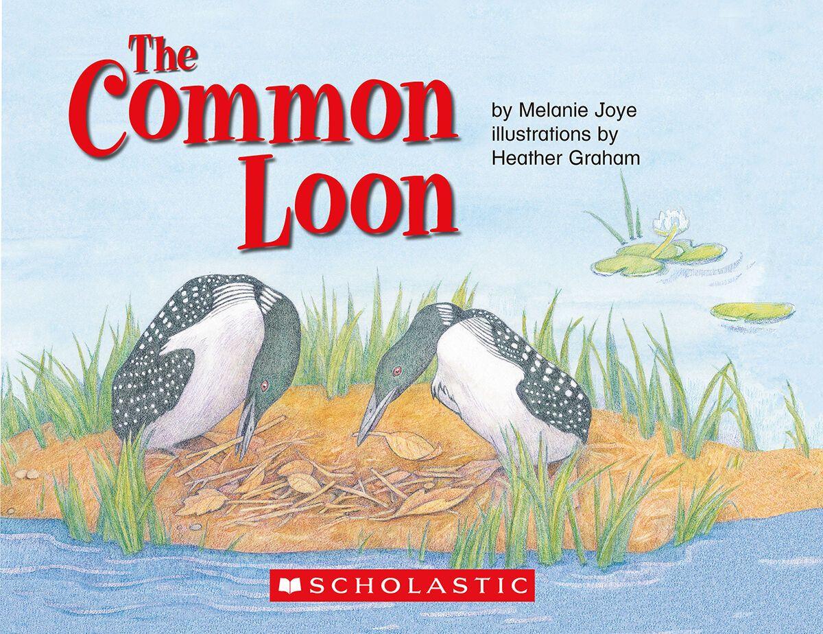 LPEY Levelled Libraries: Level M image number 1