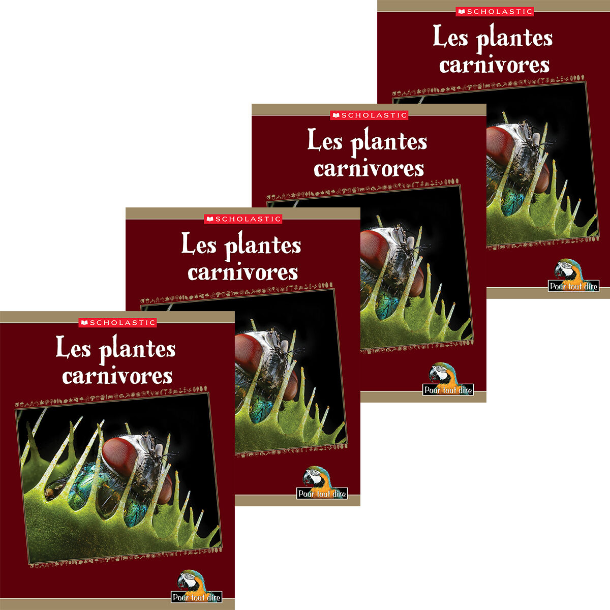 Pour tout dire: Le monde naturel: Les plantes: Les plantes carnivores Emballage de 4