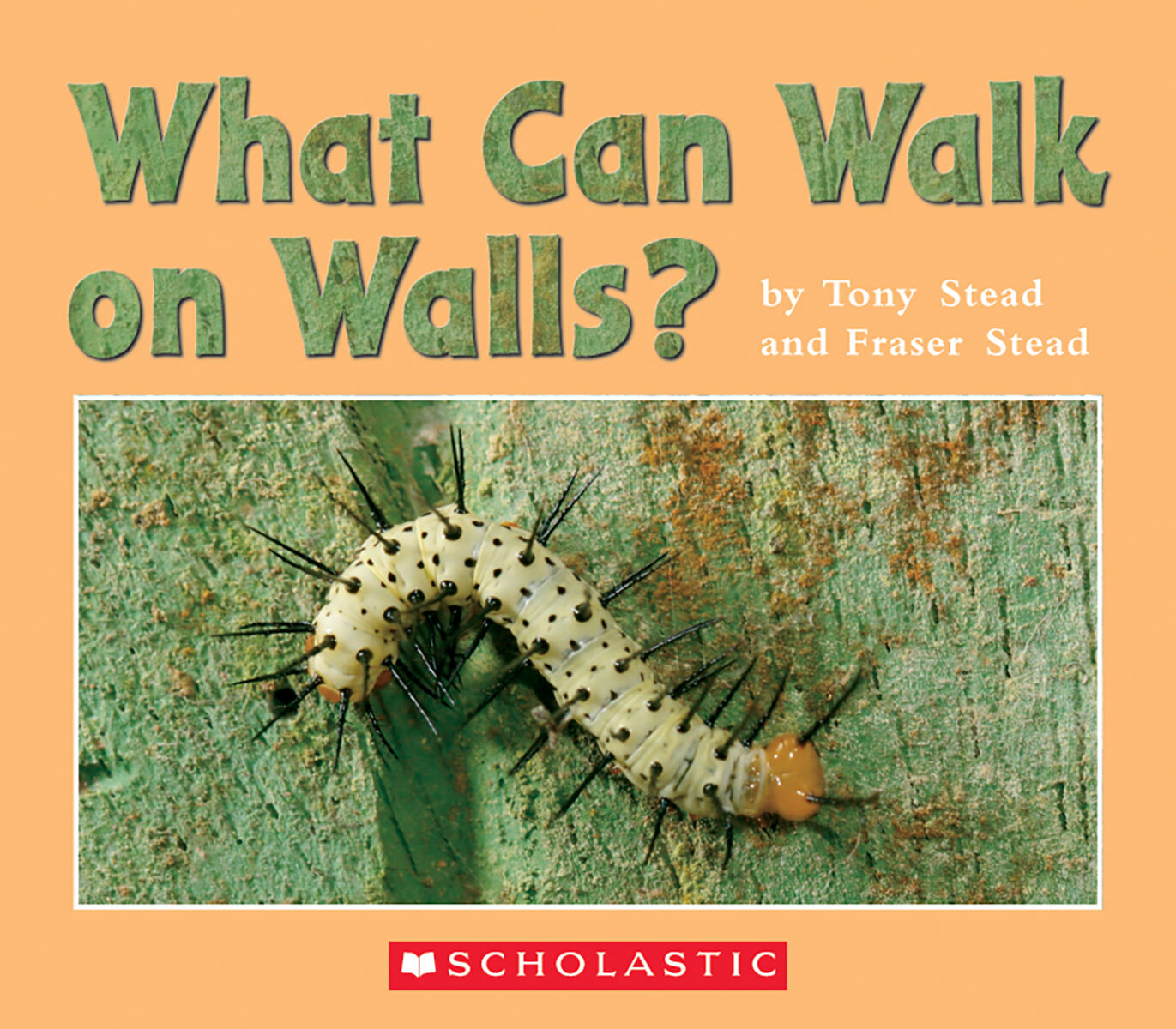 Literacy Place for the Early Years Grade 1: Level D: What Can Walk on Walls? 6 Pack