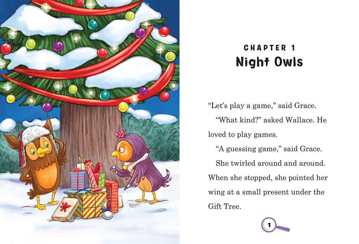 Mystery Chapter Books image number 6