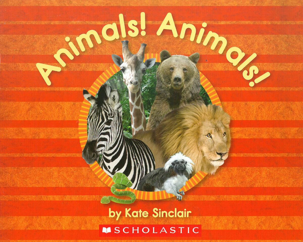 Independent Reading Collection: Level A image number 6