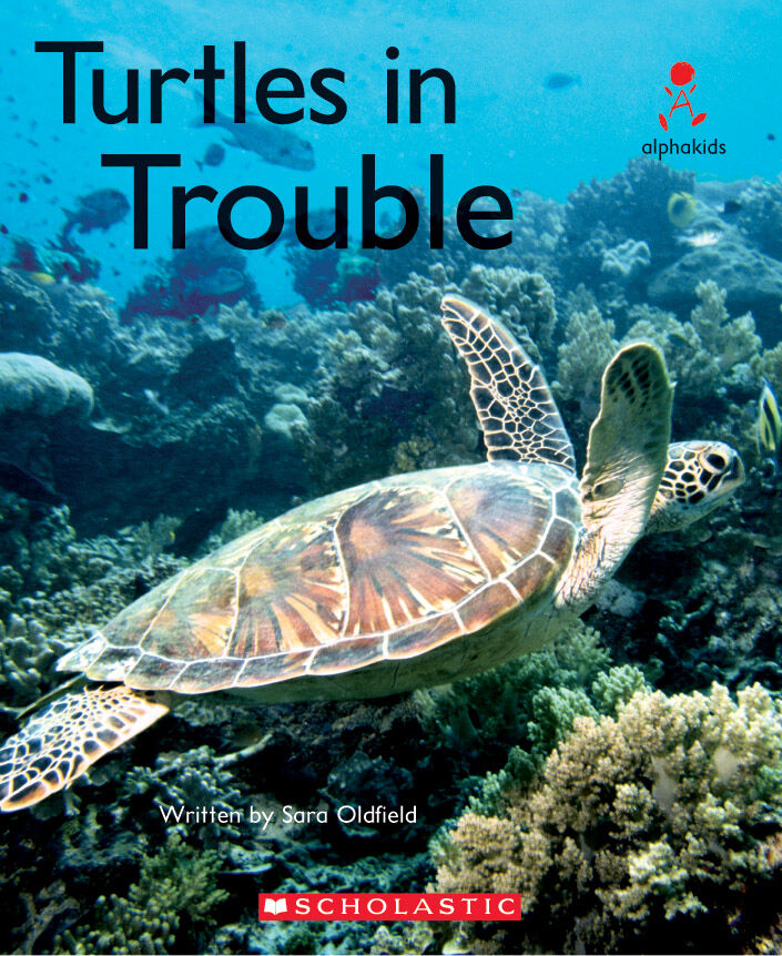 Alphakids: Set 2, Level 23 (L): Turtles in Trouble 6 Pack image number 1