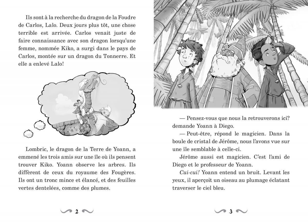 Ma&icirc;tres des dragons : N&deg; 8 - Le cri du dragon du Tonnerre image number 2