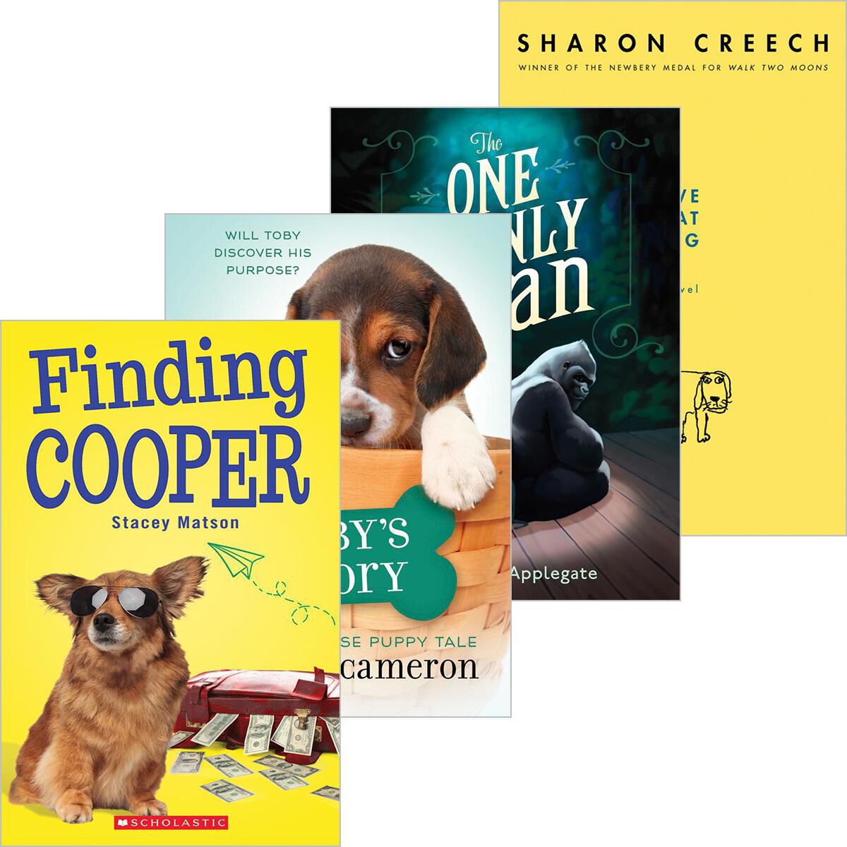 Social Emotional Library: Grades 4-6  image number 0