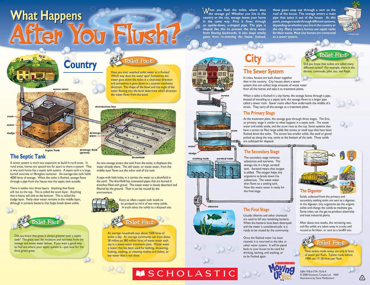 LPEY Levelled Libraries: Level Q image number 4