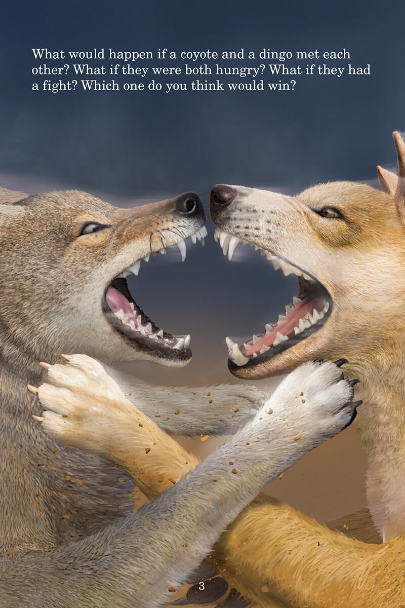 Who Would Win? Coyote vs. Dingo image number 1