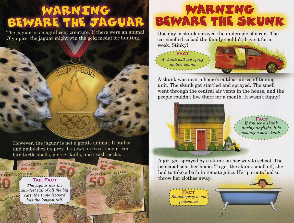 Who Would Win? Jaguar vs. Skunk image number 1