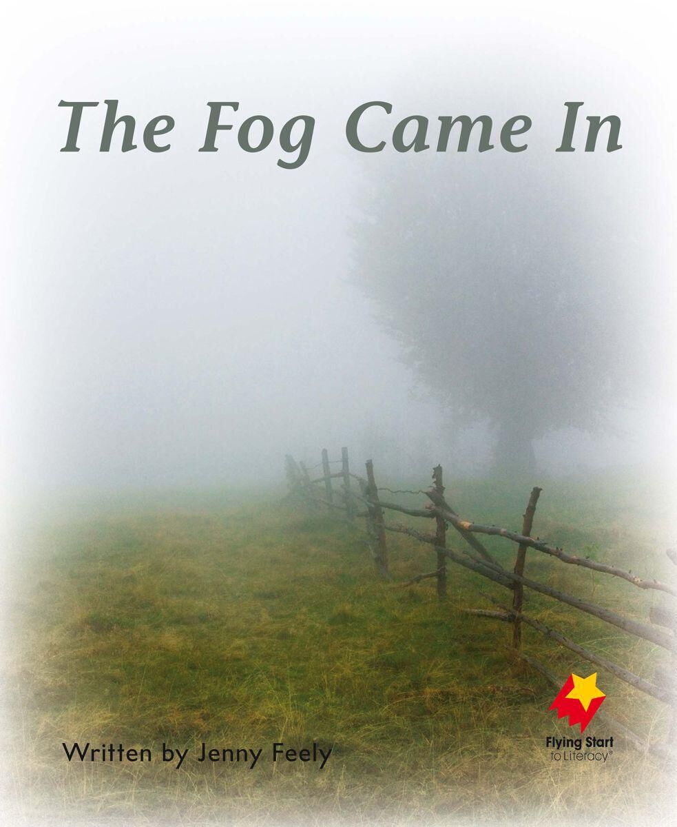 Flying Start: Level C: The Fog Came In/Lost in the Fog 12 Pack image number 1