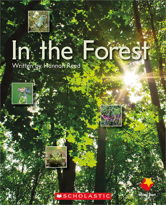 Flying Start: Level C Library Pack image number 3