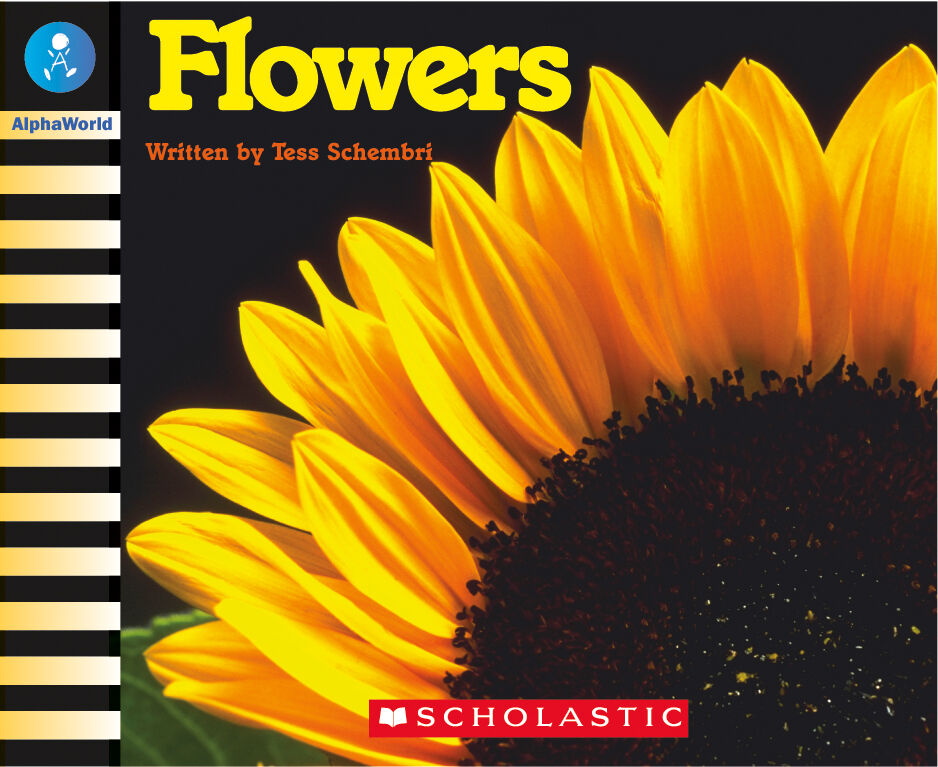 AlphaWorld: Level 1 (A): Flowers 6 Pack image number 1