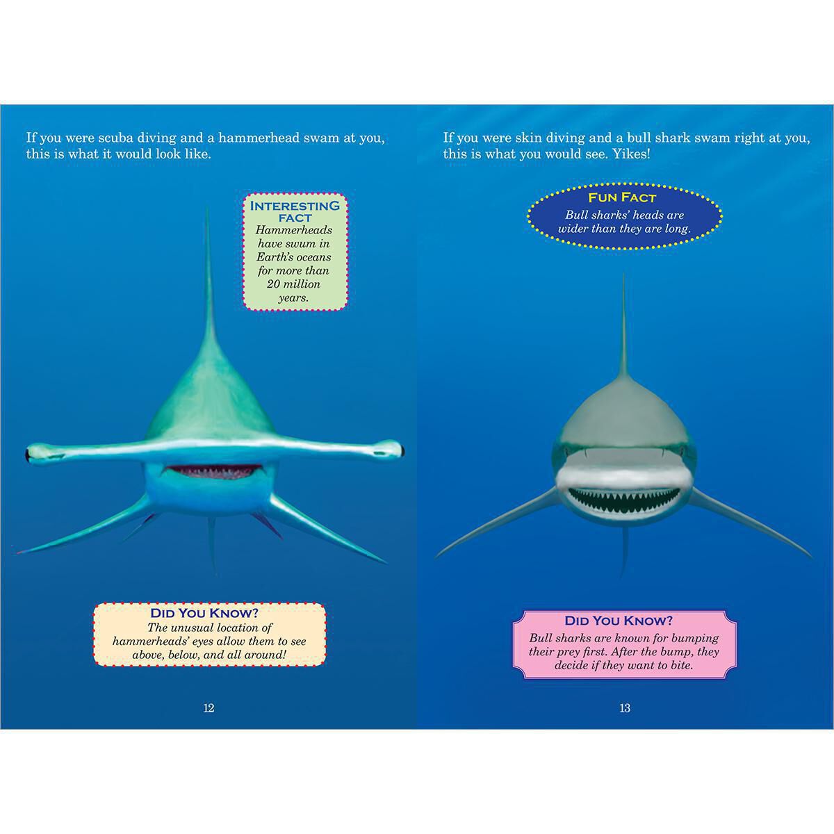Who Would Win? Hammerhead vs. Bull Shark image number 2
