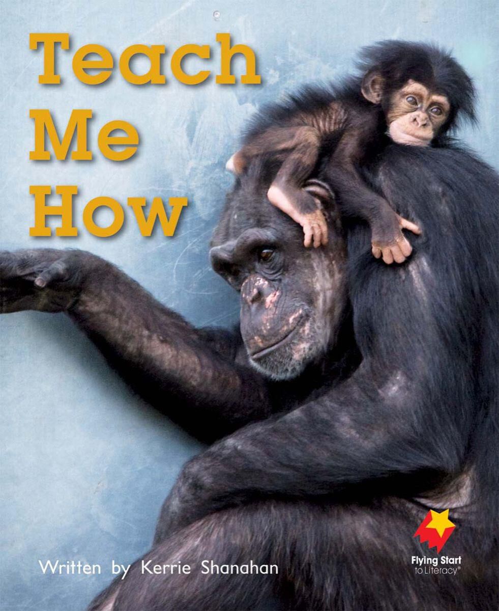 Flying Start: Level F Library Pack image number 7