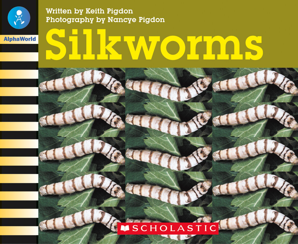 AlphaWorld: Level 17 (J) Multi-pack image number 4