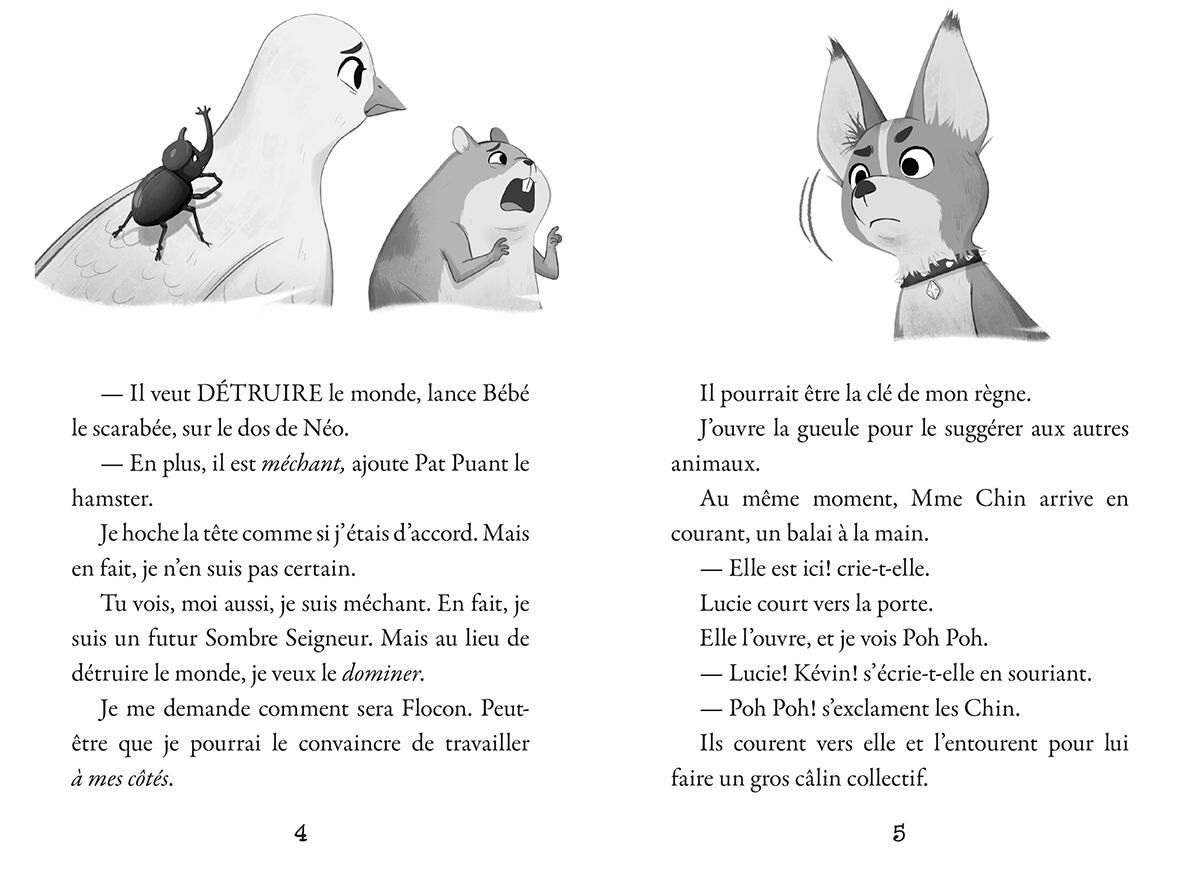 Complot d&rsquo;animaux : N˚ 2 - Caniche de malheur image number 3