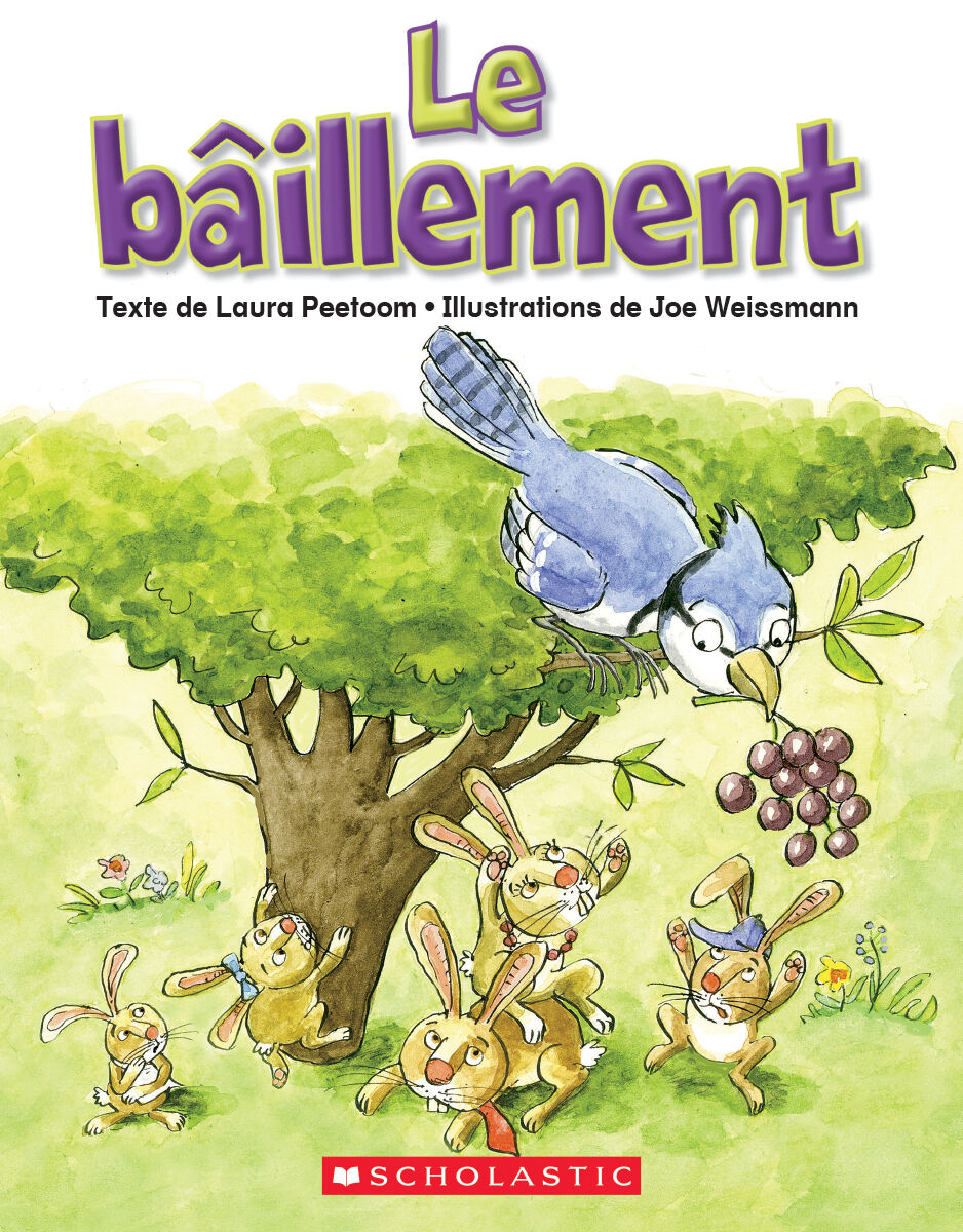 Envol an litt&eacute;ratie Maternelle &agrave; 4e ann&eacute;e: Niveau A: Le b&acirc;illement Emballage de 6