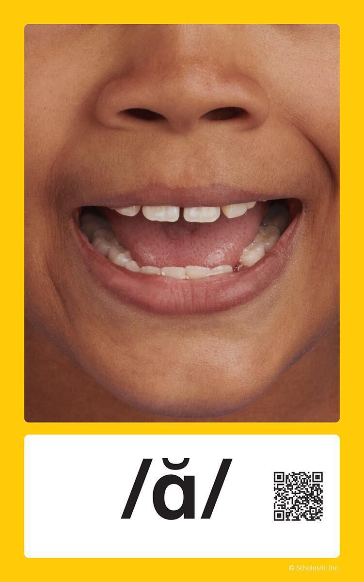 Articulation Cards image number 4