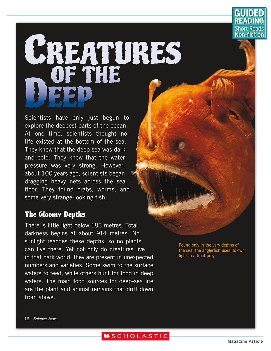 Guided Reading Short Reads Non-fiction Level Q Complete Pack image number 7