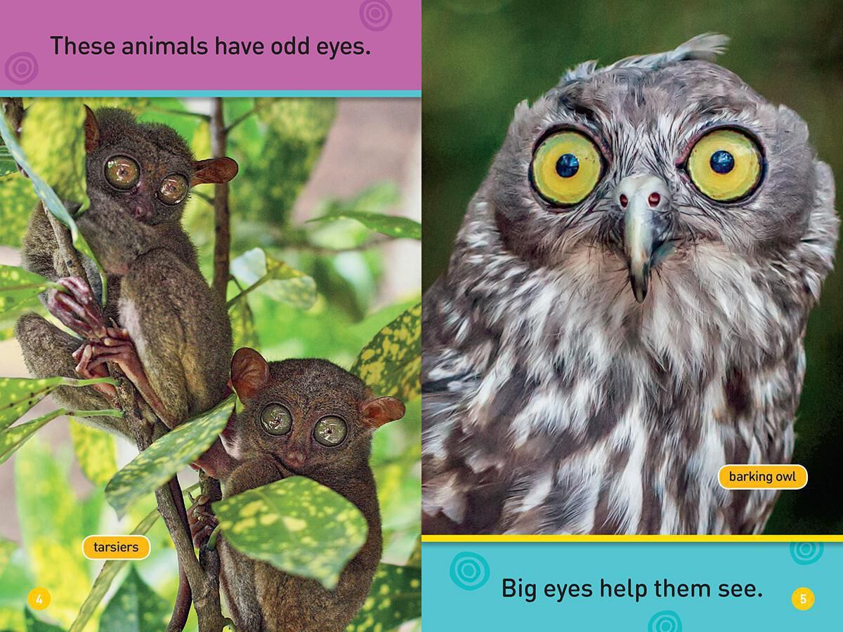 Independent Reading Collection: Level F image number 6