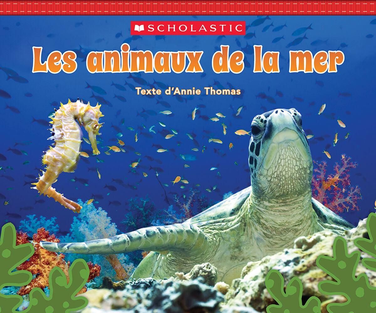 Jour apr&egrave;s jour : Collections toutes faites : Pour les lecteurs d&eacute;butants image number 5