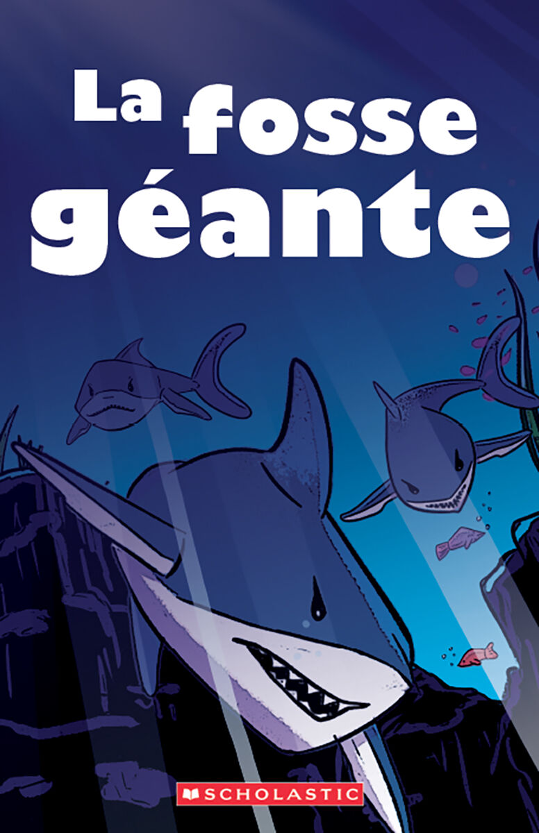 D&eacute;tectives de d&eacute;codage Trousse compl&egrave;te image number 2