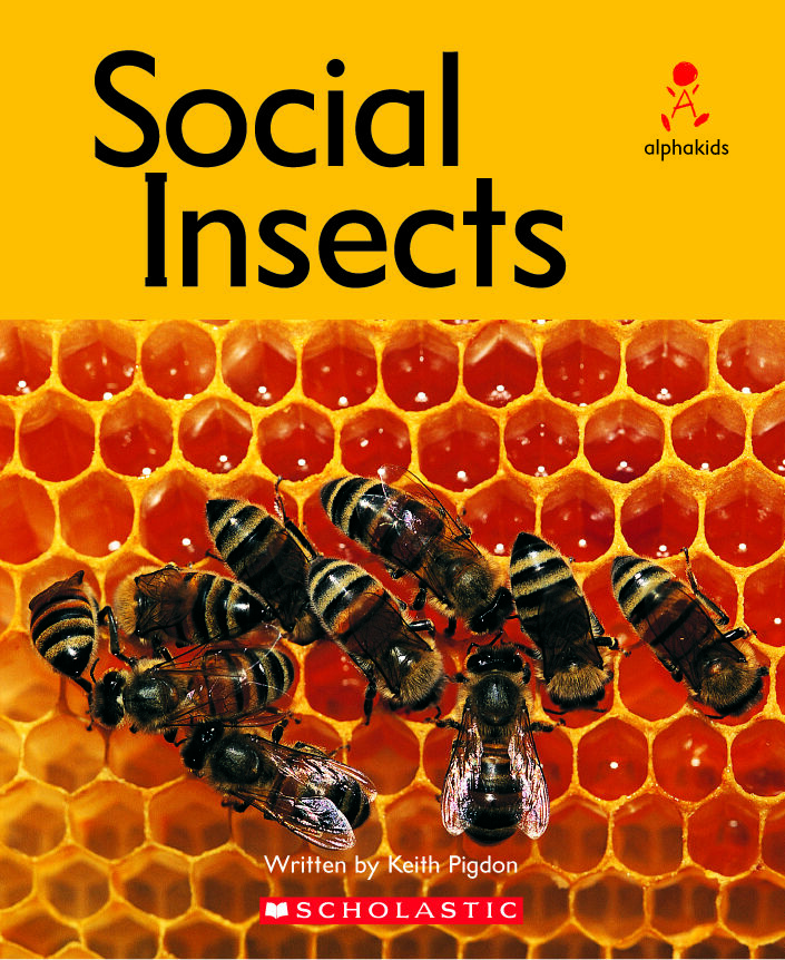 Alphakids: Set 2, Level 24 (L) Library Pack image number 1