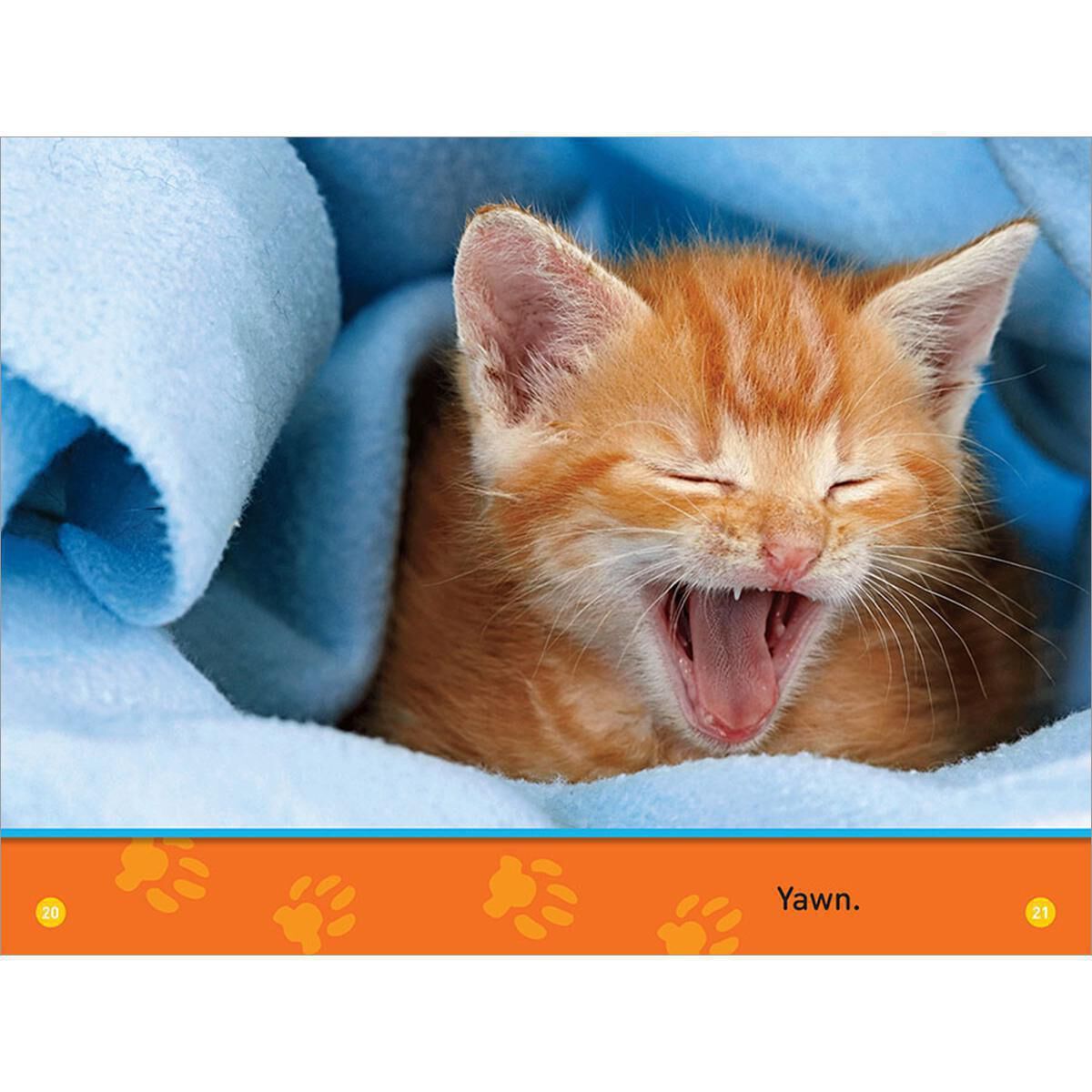 National Geographic Backyard Animals image number 2