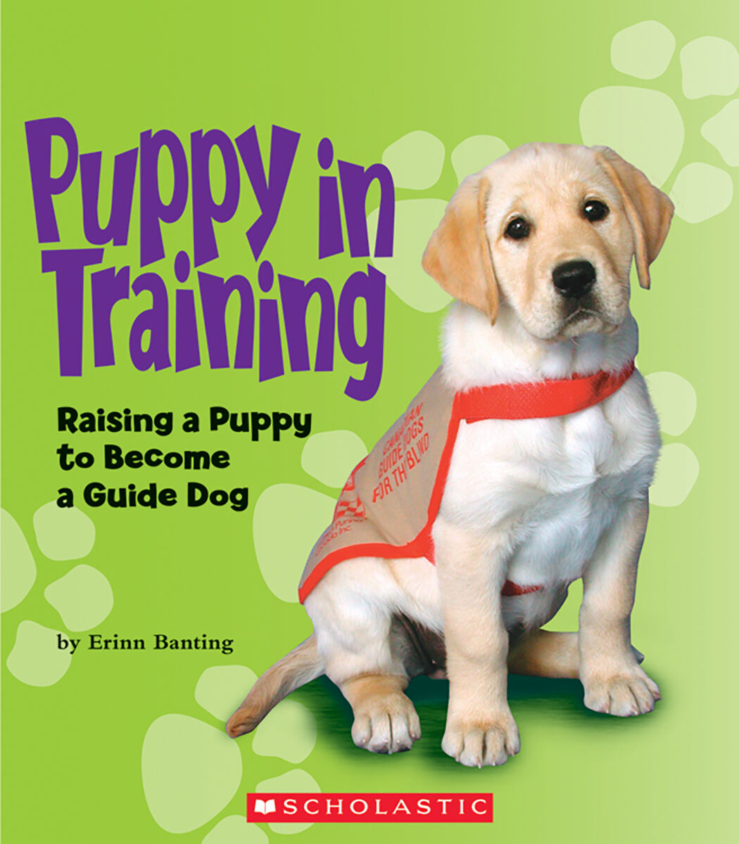 Moving Up Grade 4: Level O: Puppy in Training 6 Pack image number 0