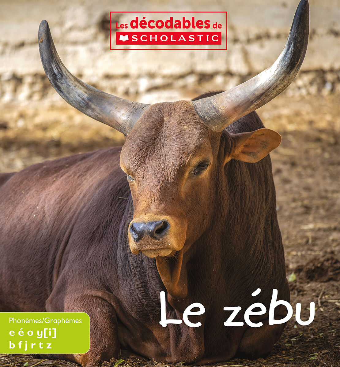 Les d&eacute;codables de Scholastic &Eacute;tapes 1-5 image number 9