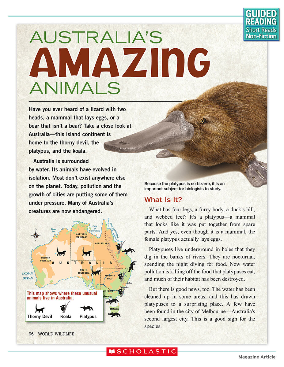 Guided Reading Short Reads Non-fiction Level V Complete Pack image number 7