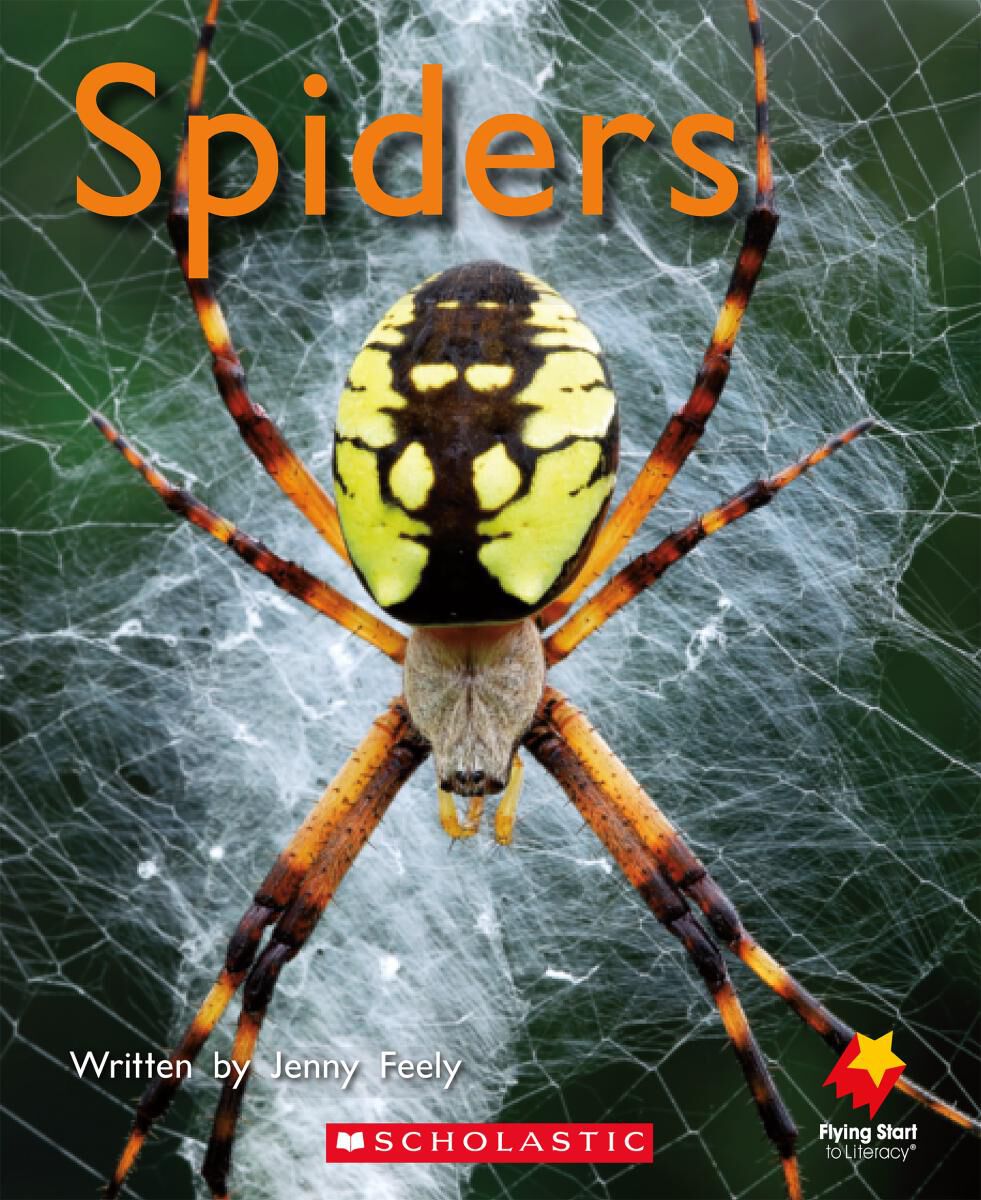 Flying Start: Level D Library pack image number 5