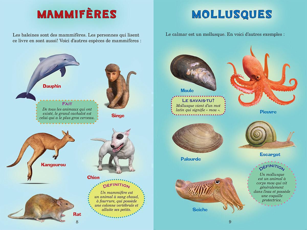 Qui va gagner? : Le grand cachalot ou le calmar g&eacute;ant? image number 3