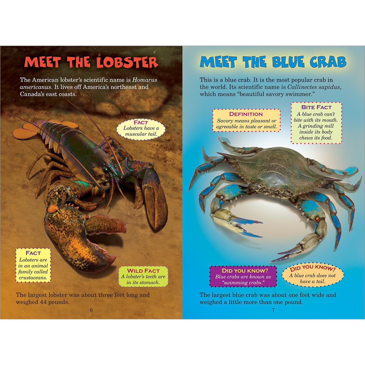 Who Would Win? Lobster vs. Crab image number 1