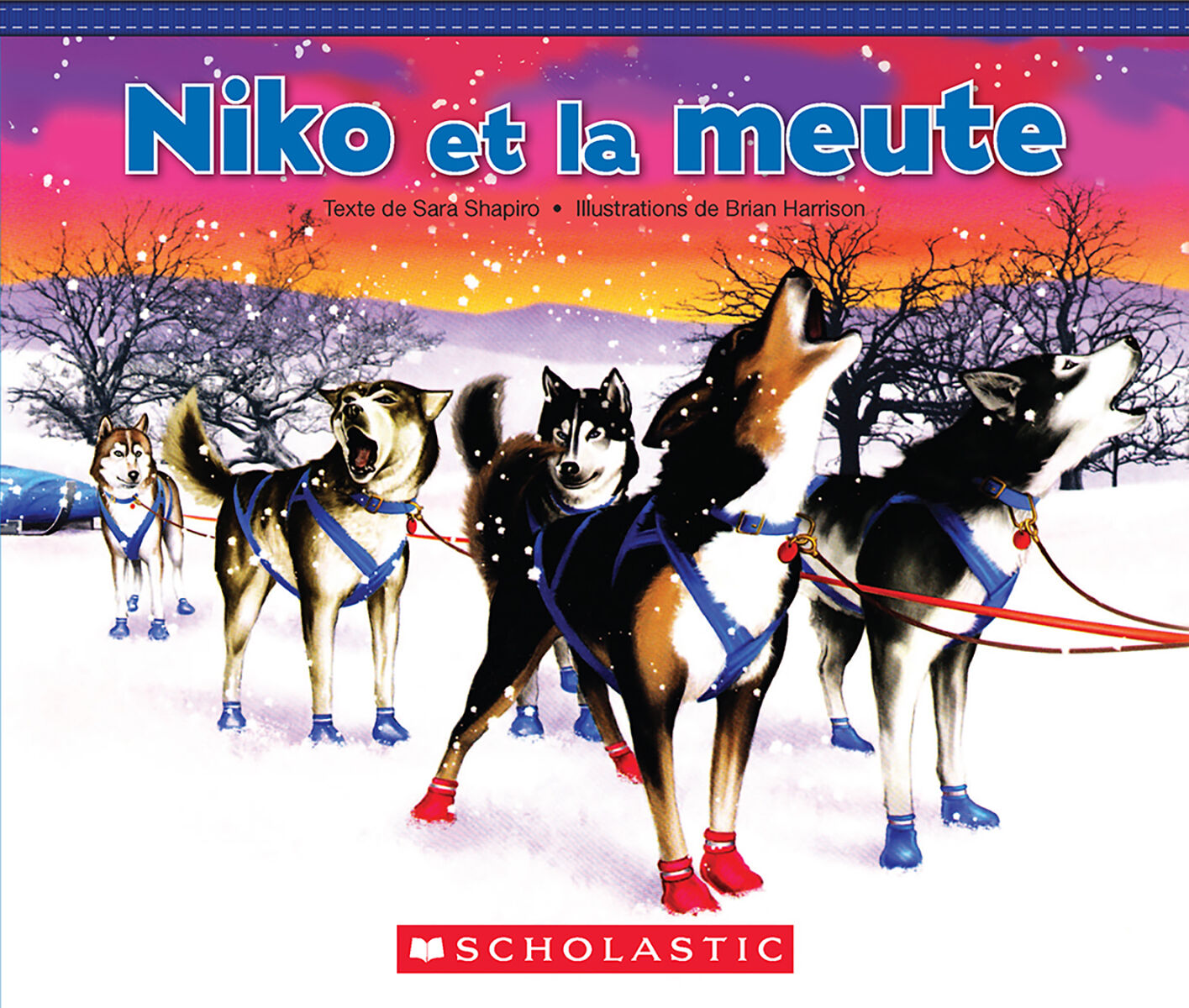 Jour apr&egrave;s jour : Collections toutes faites : Pour les lecteurs interm&eacute;diaires image number 1