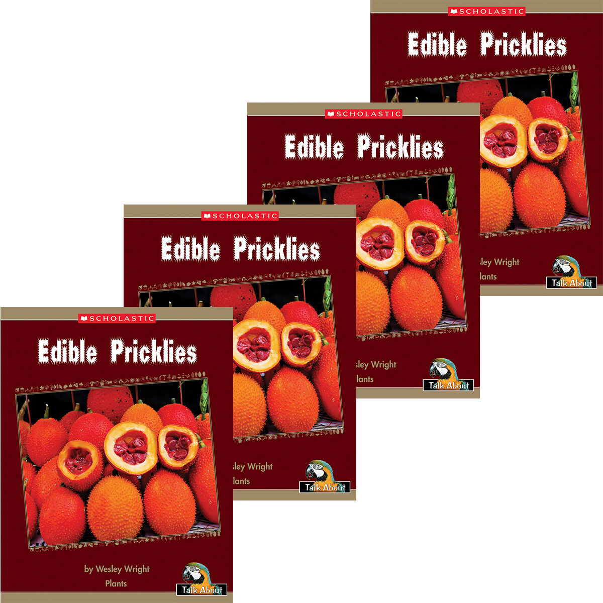Talk About The Natural World: Plants: Edible Pricklies 4 Pack image number 0