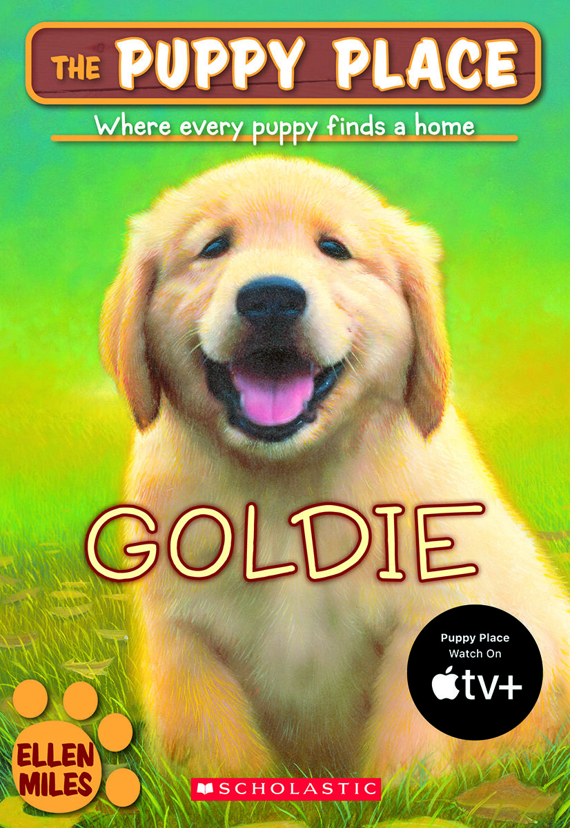 Grade 3 Independent Reading Classroom Libraires: Levels J-P image number 7