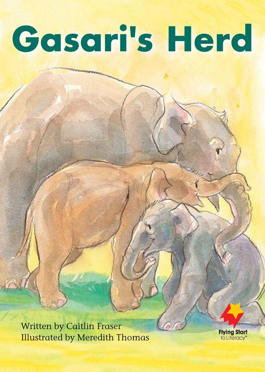 Flying Start: Level J: Nadif's New Life/Gasari's Herd 12 Pack image number 1