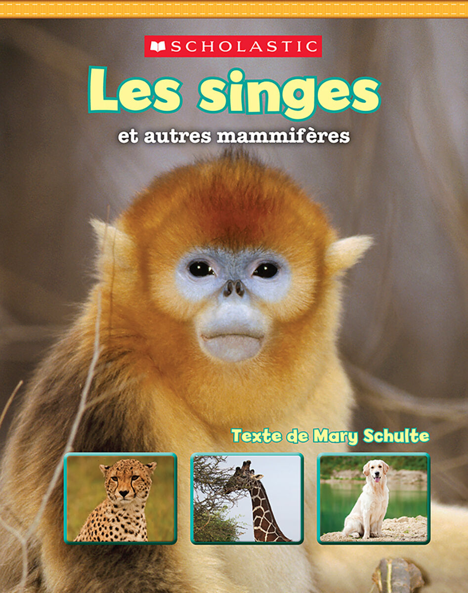 Jour apr&egrave;s jour : Collections toutes faites : Les faits sur les animaux image number 8