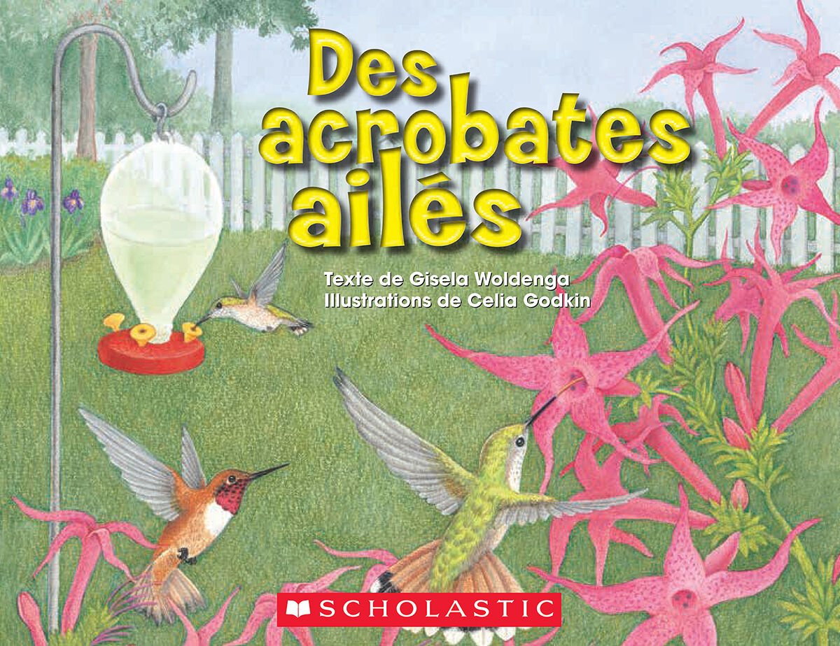 Envol en litt&eacute;ratie Biblioth&egrave;que nivel&eacute;e: Niveaux P-Q image number 9