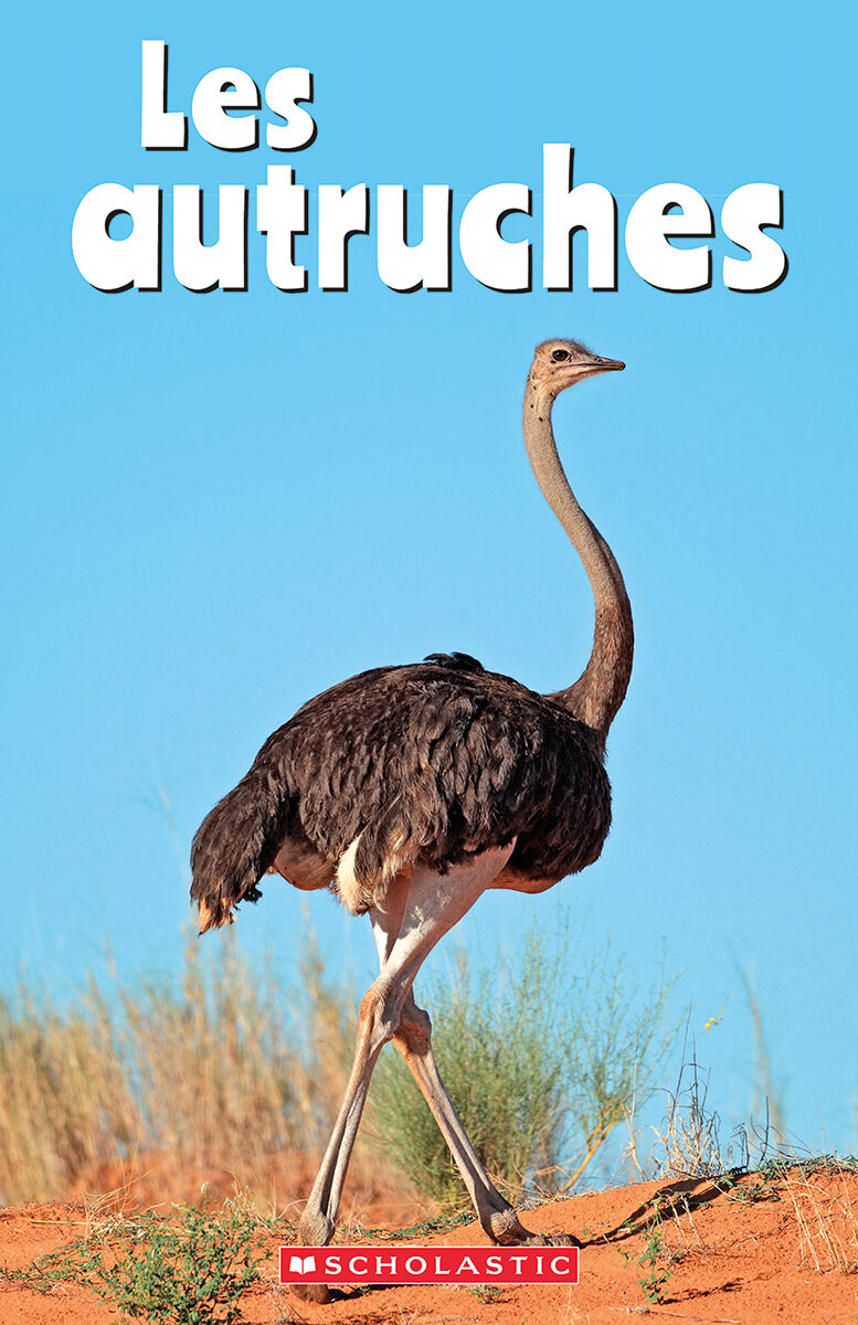 D&eacute;tectives de d&eacute;codage Niveaux 11-20 image number 4